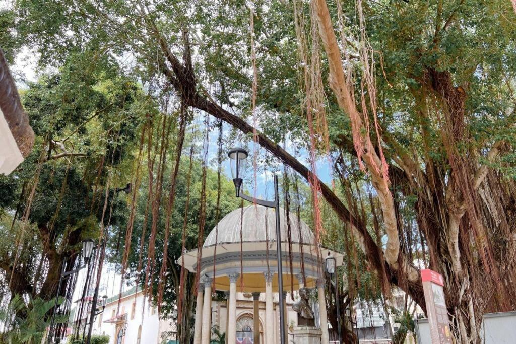 Maison Boheme - La Manzana Panama المظهر الخارجي الصورة